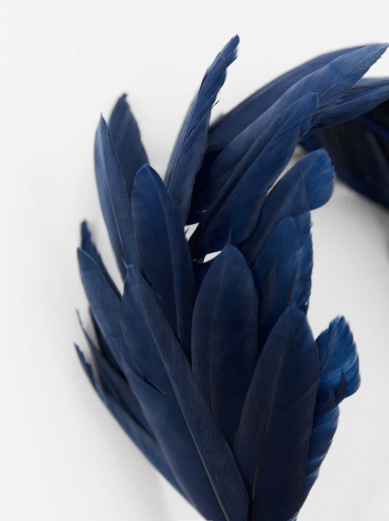 Tiara blue aplicação