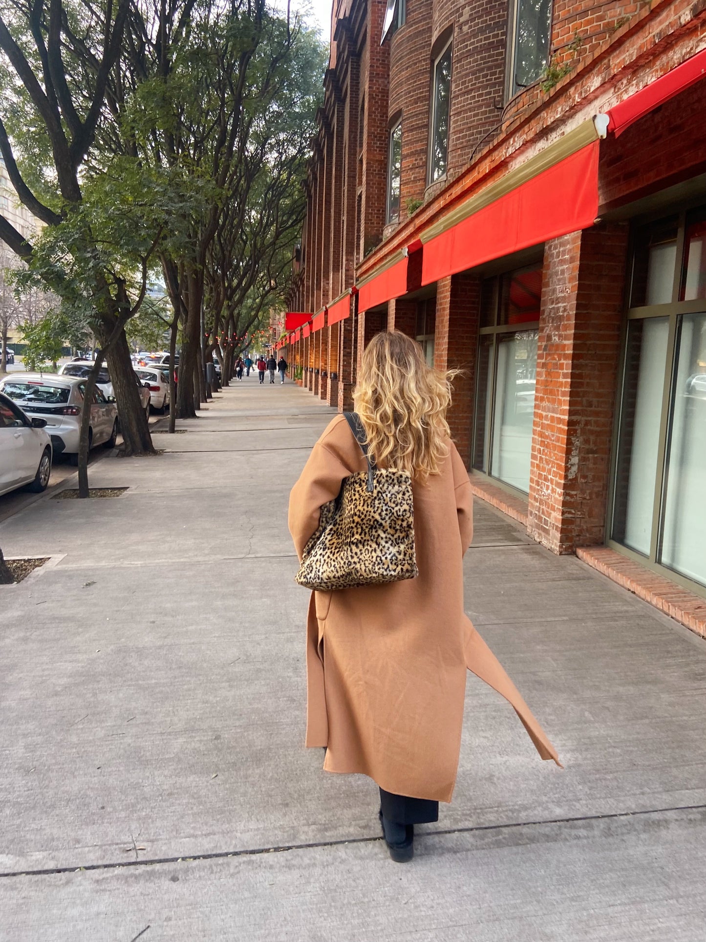 Bag animal print “cabe tudo”