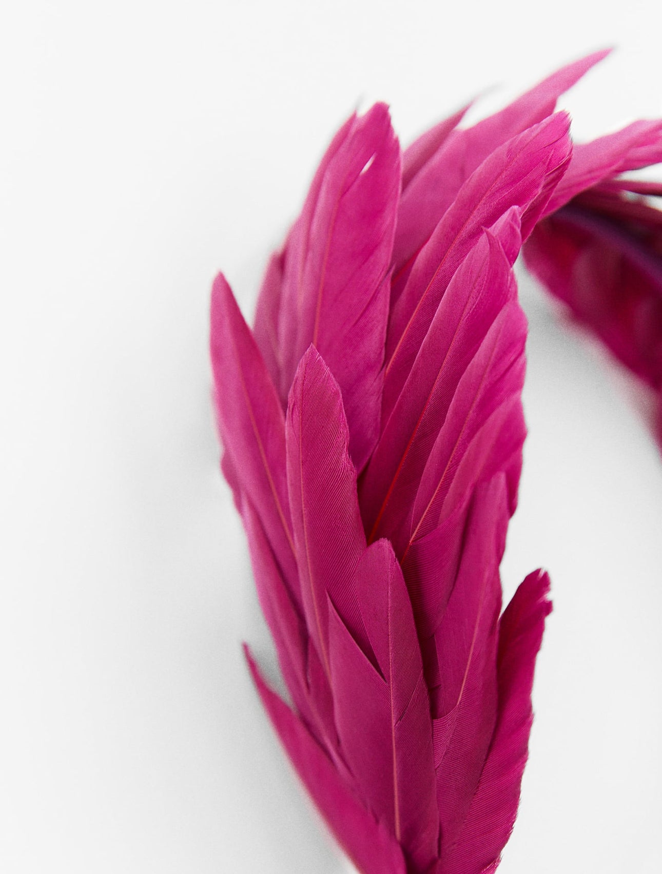 Tiara magenta aplicação